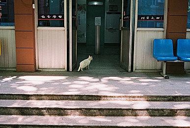 EA确认《星球大战绝地》三部曲终章已在开发中